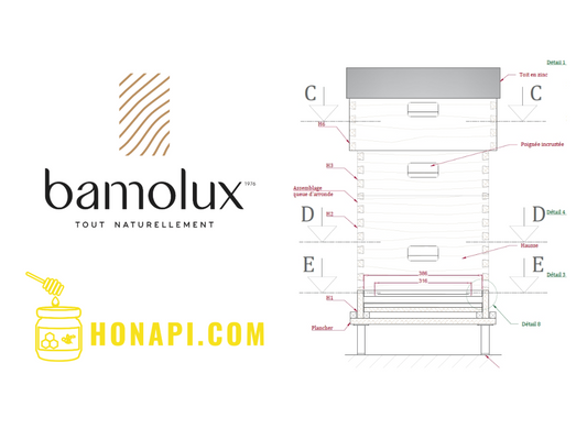 Bamolux - collaboration innovante pour une apiculture durable : rencontre entre un artisan menuisier et un apiculteur luxembourgeois