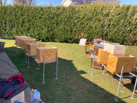 Printemps - Planification et préparation des ruchettes en apiculture biologique