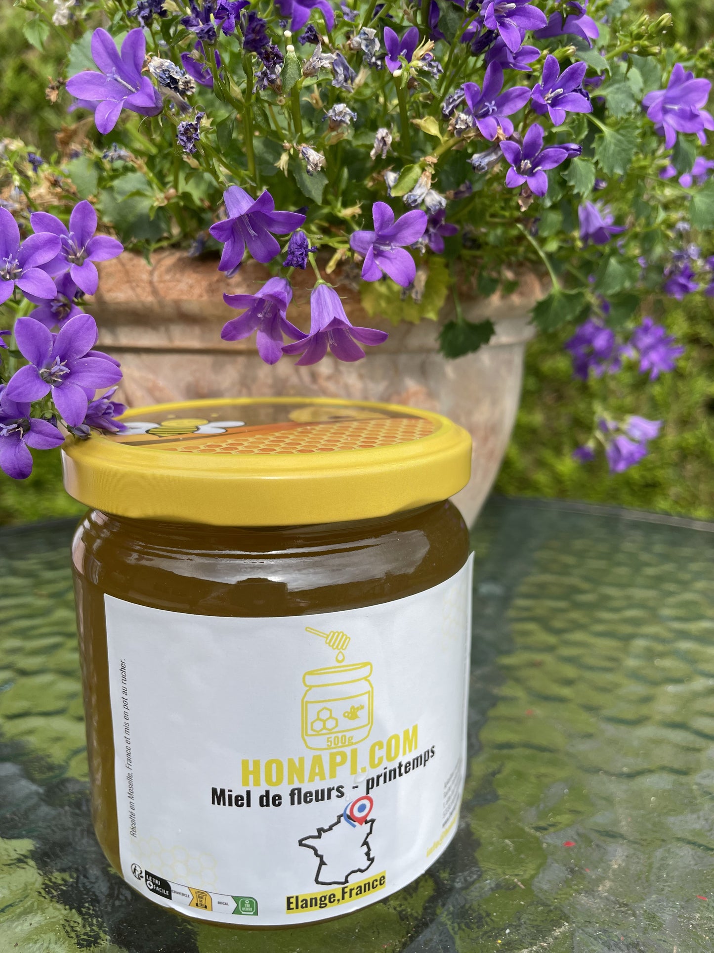 Miel de fleurs - printemps - miel de Elange - Moselle & Lorraine (500g) - 2025 đ«đ·