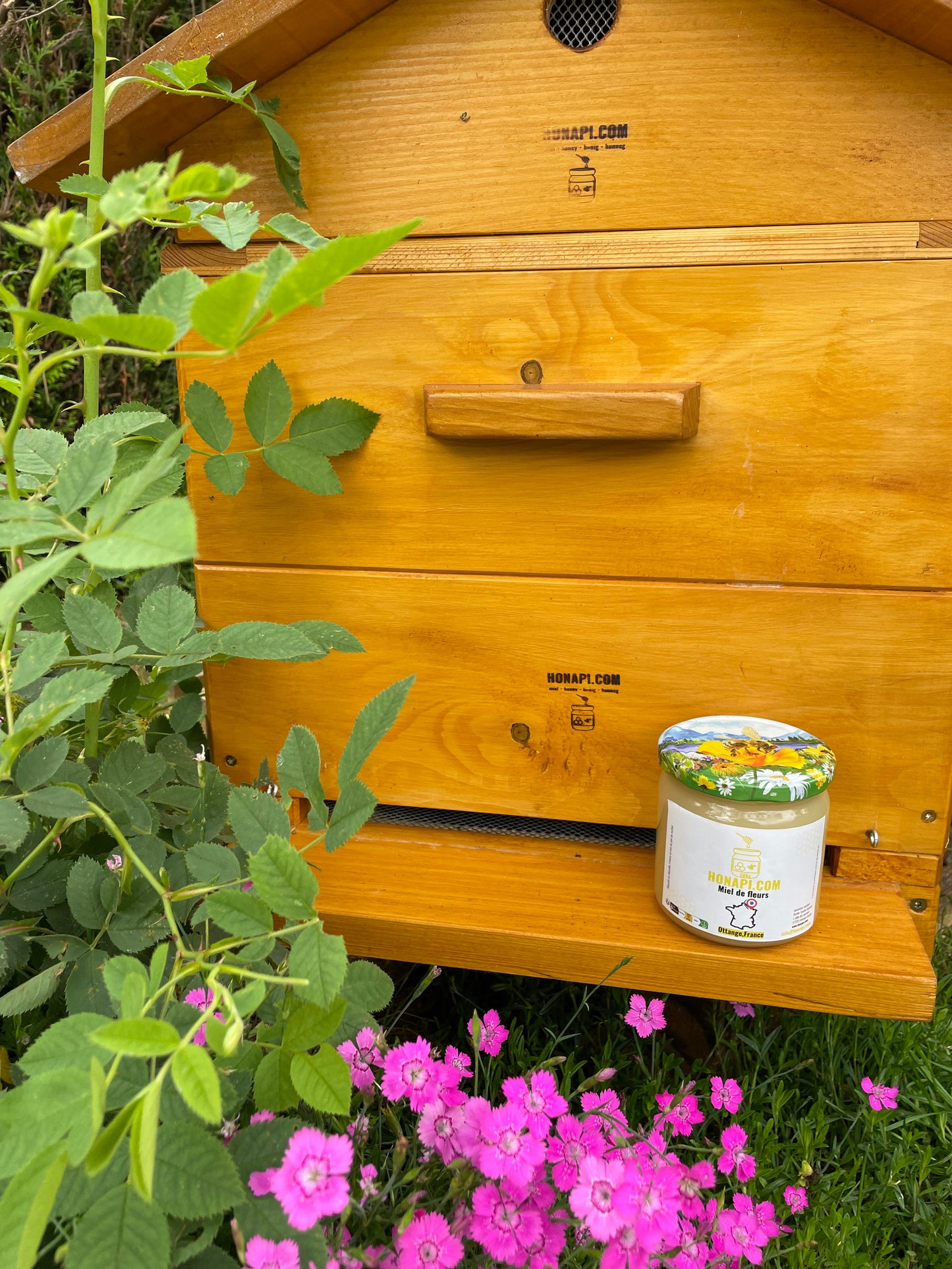 Miel de fleurs - printemps - miel de Ottange - Moselle & Lorraine (500g) - 2025 đ«đ·