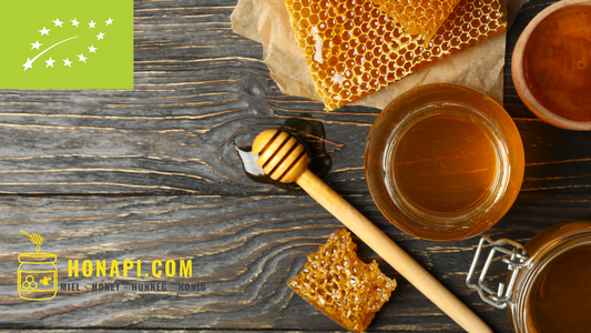 L'art de l'apiculture biologique et notre miel certifié bio à Luxembourg