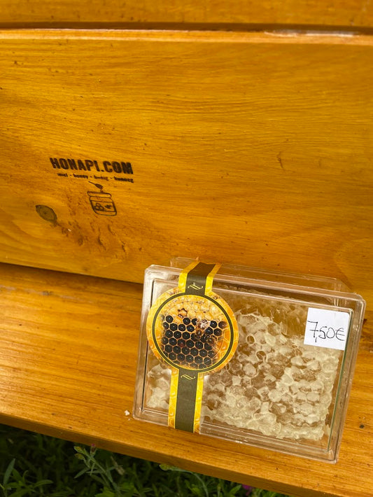 Taste the Spring: Unpasteurized Honeycomb Honey from Elange, Moselle, France