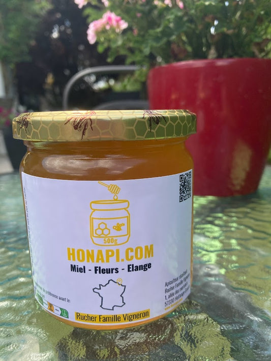 Spring honey - Honey from France, Mosel Honey - Elange (500g) - 2023